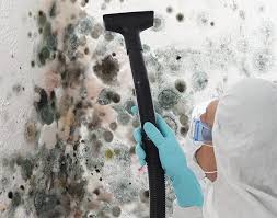 Best Emergency Mold Remediation  in Highwood, IL